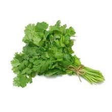 CILANTRO